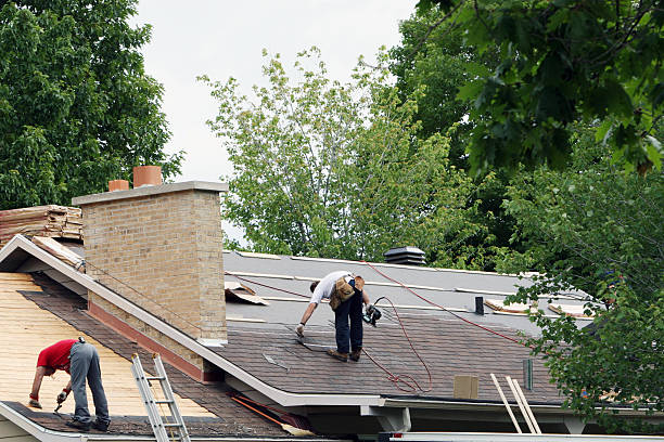 Best Roof Gutter Cleaning  in North College Hill, OH